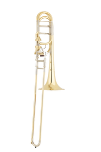 S.E. Shires Q Series Bass Trombone Yellow Brass Bell w/Axial Valves (TBQ36YA)
