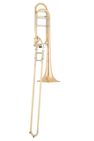 S.E. Shires Q Series Large Bore Tenor Trombone Gold Brass Bell w/Axial Valve (TBQ30GA)