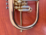 S.E. Shires Q19G Professional Flugelhorn Lacquer