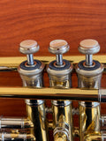 Rare NY Bach F Sopranino Trumpet - Boyde Hood Collection