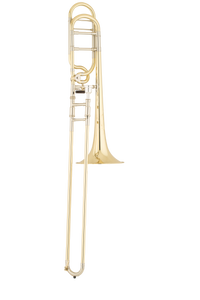 S.E. Shires Q Series Large Bore Tenor Trombone w/Rotary Valve (TBQ30YR)