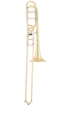 S.E. Shires Q Series Large Bore Tenor Trombone w/Rotary Valve (TBQ30YR)